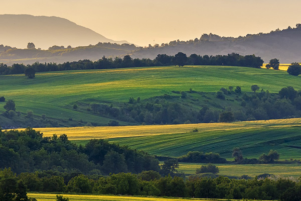 可降解的紙膠帶是怎么煉成的？