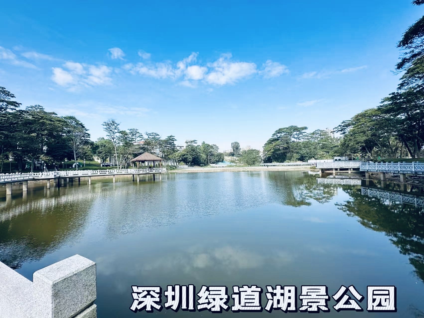 00687f17be118e776776f87a99cd24cc.jpg