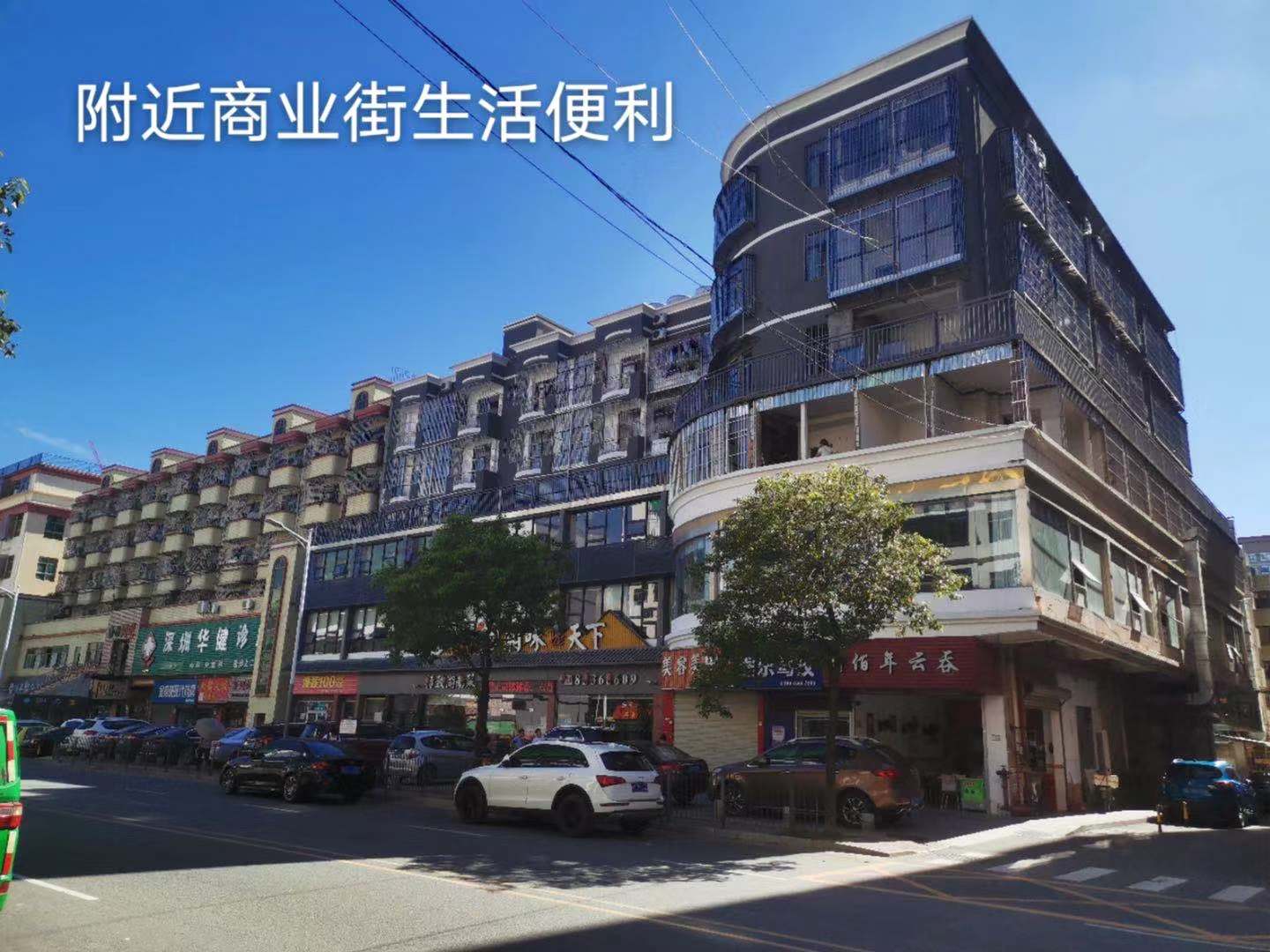龍華小產權房
