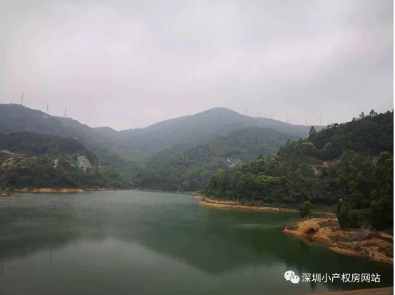 山水綠園一房一廳56平方，56.8萬/套起