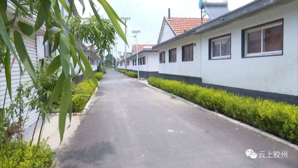 膠州市住房和城鄉(xiāng)建設局正在加快手續(xù)辦理